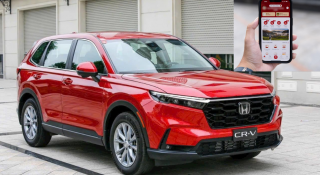 Hướng dẫn chi tiết đăng ký xe trực tuyến trên ứng dụng VneID